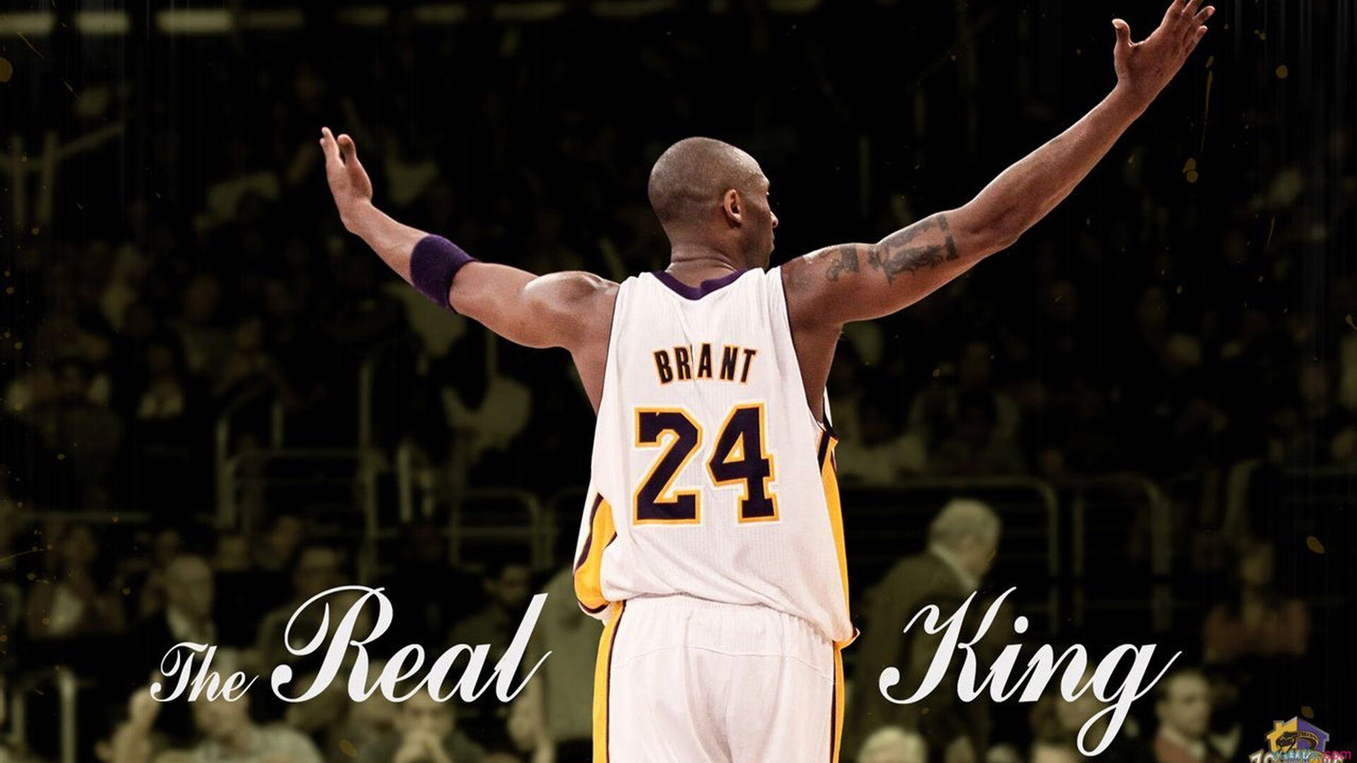 温网力克美网，纳达尔扛起全队的传奇之战