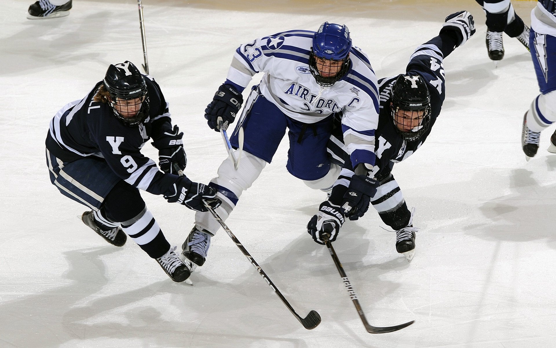 温网鏖战与拉沃尔杯交响，德约科维奇如何以传奇之火点燃赛场